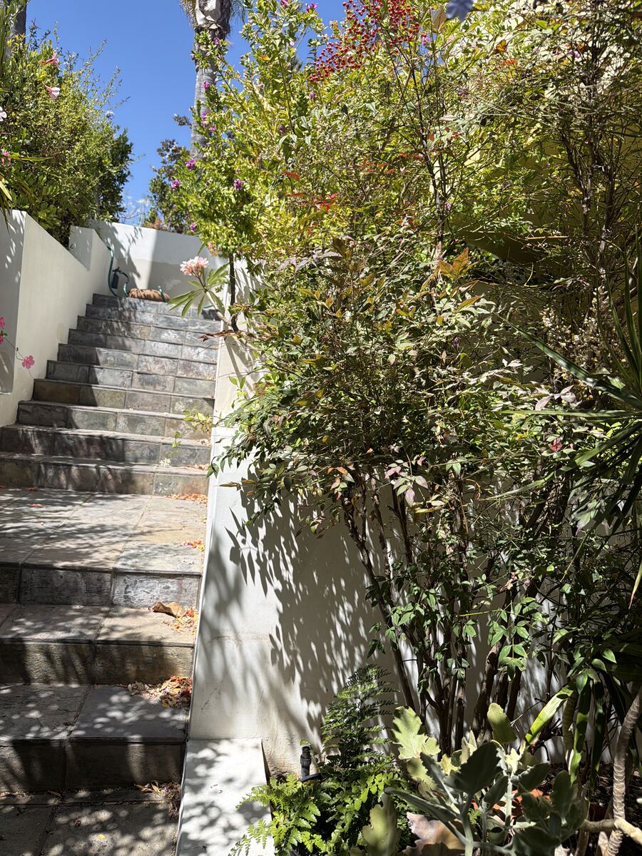 Escaleras de piedra entre jardín tropical